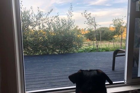 Photo of property in 497 Orini Road, Orini, Taupiri, 3792