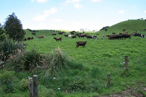 Photo of property in 1234 Richmond Road, Everett Park, Inglewood, 4389