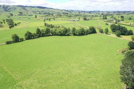 Photo of property in 231 Grice Road, Rotoorangi, Cambridge, 3495