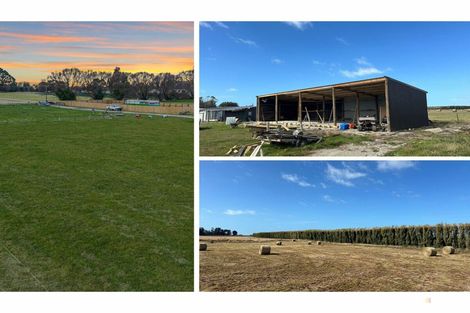 Photo of property in 8 Barretts Road, Seadown, 7973