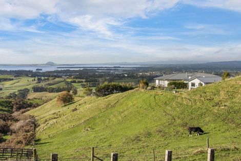Photo of property in 345a Lindemann Road, Tahawai, Katikati, 3170