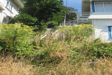 Photo of property in 6 Hinau Road, Hataitai, Wellington, 6021