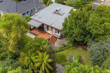 Photo of property in 16 Riverview Terrace, Fairfield, Hamilton, 3214