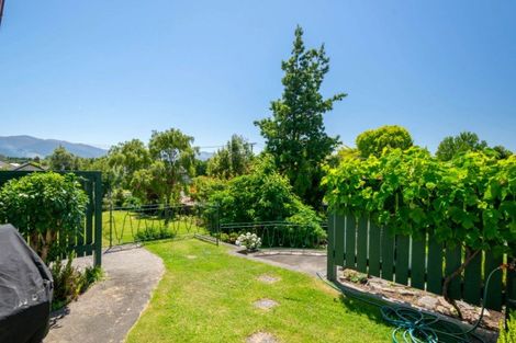 Photo of property in 19 Wilson Street, Renwick, 7204