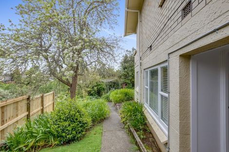 Photo of property in 7 Mansel Avenue, Hillcrest, Hamilton, 3216