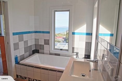 Photo of property in 117 Priestley Terrace, Bluff Hill, Napier, 4110