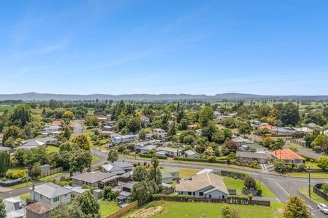 Photo of property in 36 Clothier Street, Putaruru, 3411