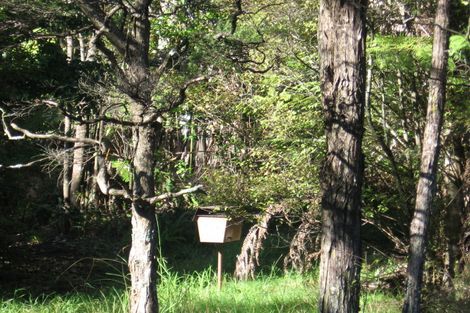 Photo of property in 126 Konini Road, Titirangi, Auckland, 0604