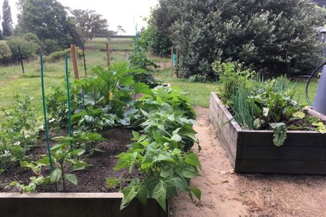 Photo of property in 3668 Cambridge Road, Leamington, Cambridge, 3495