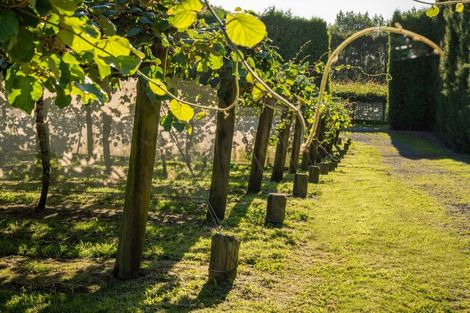 Photo of property in 585d Mclaren Falls Road, Omanawa, Tauranga, 3171