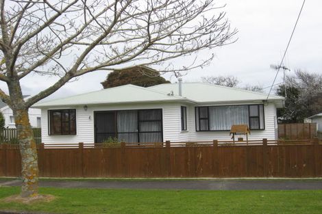 Photo of property in 49 Graham Street, Levin, 5510