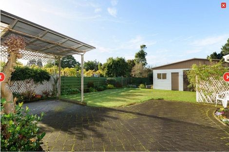 Photo of property in 8 Collingwood Street, Judea, Tauranga, 3110