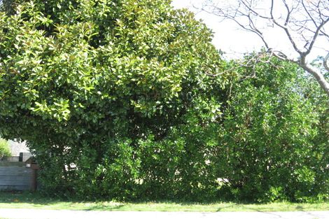 Photo of property in 51b Percy Road, Papamoa Beach, Papamoa, 3118