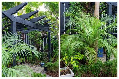 Photo of property in 18/19 Brodie Place, Bethlehem, Tauranga, 3110