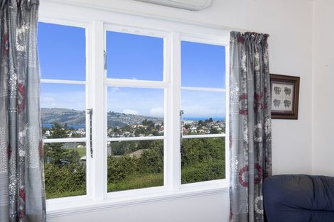 Photo of property in 20 Greenhill Avenue, Wakari, Dunedin, 9010