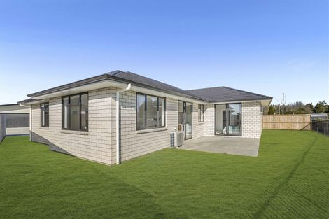 Photo of property in 17 Maggie Place, Chartwell, Hamilton, 3210