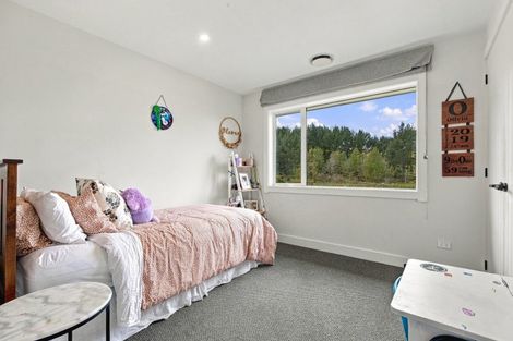 Photo of property in 184 Butcher Road, Reporoa, 3083
