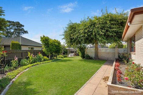 Photo of property in 15b Tereice Street, Witherlea, Blenheim, 7201