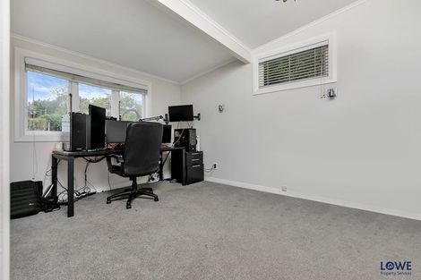 Photo of property in 52 Taylors Road, Mount Albert, Auckland, 1025