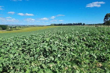 Photo of property in 1446a Clydevale Road, Clydevale, 9274