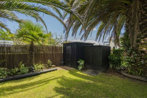 Photo of property in 5 Surf Street, Whitianga, 3510