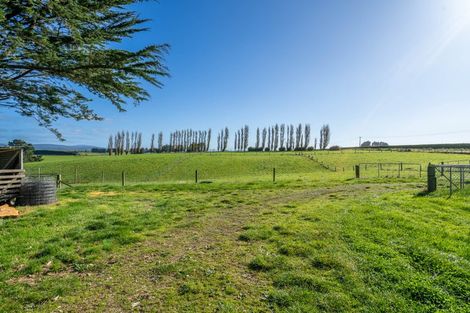 Photo of property in 597 Limestone Plains Road, Isla Bank, Otautau, 9683