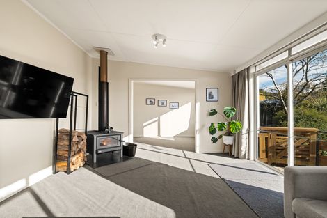 Photo of property in 163 Sidey Street, Calton Hill, Dunedin, 9012