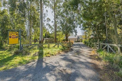 Photo of property in 1520 Tram Road, Swannanoa, Rangiora, 7475
