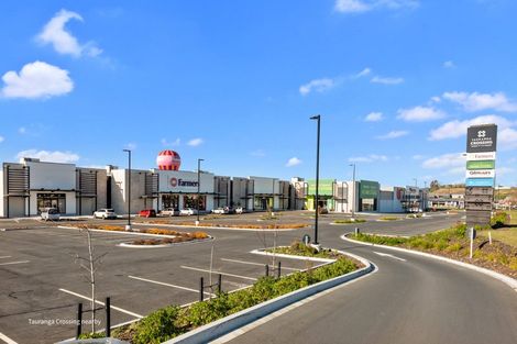 Photo of property in 142 Puhirake Crescent, Pyes Pa, Tauranga, 3112