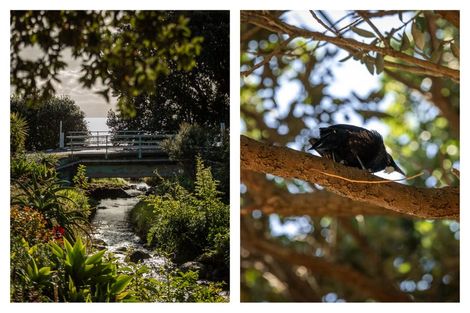 Photo of property in 224 Thames Coast Sh25 Road, Ngarimu Bay, Thames, 3575