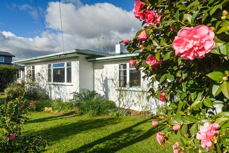 Photo of property in 99 North Street, Palmerston North, 4410