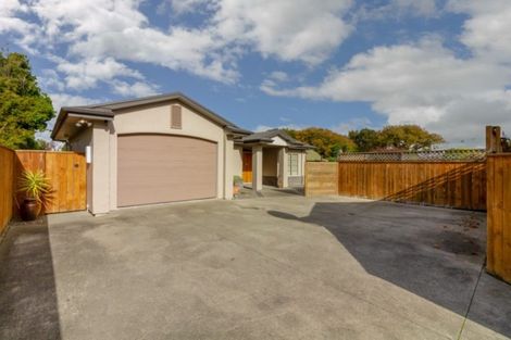 Photo of property in 21a Monckton Street, Feilding, 4702