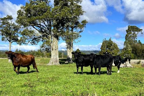 Photo of property in 200 Golf Links Road, Kaiata, Greymouth, 7805