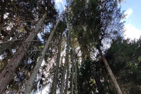 Photo of property in 1237 Waingaro Road, Glen Massey, Ngaruawahia, 3793