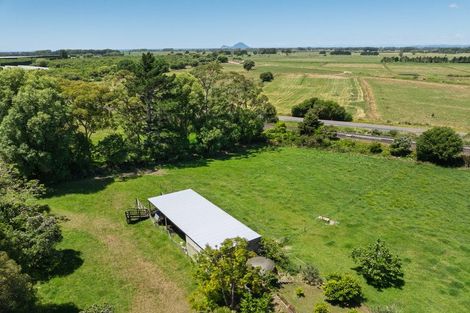 Photo of property in 261 Manawahe Road, Matata, Whakatane, 3194
