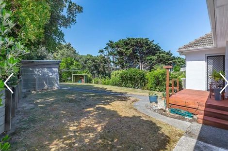 Photo of property in 62 Tannadyce Street, Strathmore Park, Wellington, 6022