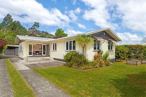 Photo of property in 25 Winter Street, Mangapapa, Gisborne, 4010