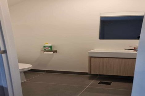 Photo of property in 117 Coronation Road, Hillcrest, Auckland, 0627