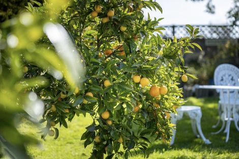 Photo of property in 33 Skerman Street, Marton, 4710