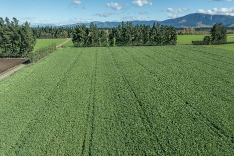 Photo of property in 375 Stonyflat Road, Loburn, Rangiora, 7472