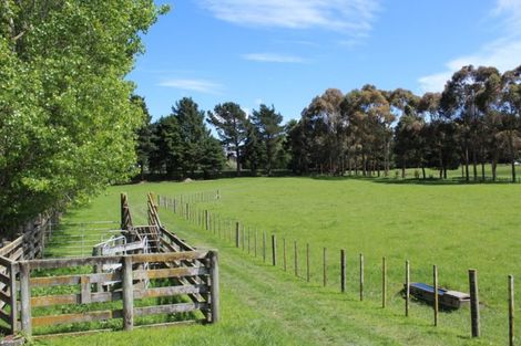 Photo of property in 347 West Bush Road, Upper Plain, Masterton, 5888