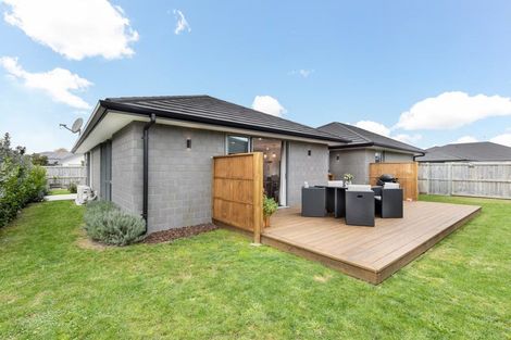 Photo of property in 2 Dyer Lane, Cambridge, 3434