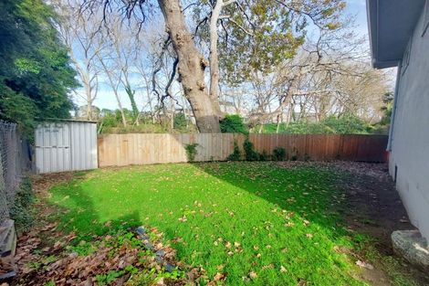 Photo of property in 119c Rimu Street, Maeroa, Hamilton, 3200