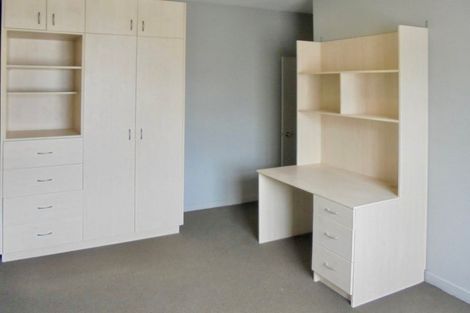 Photo of property in City Lodge, 408/115 Vivian Street, Te Aro, Wellington, 6011