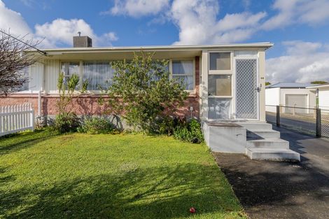 Photo of property in 66 Winchester Street, Levin, 5510