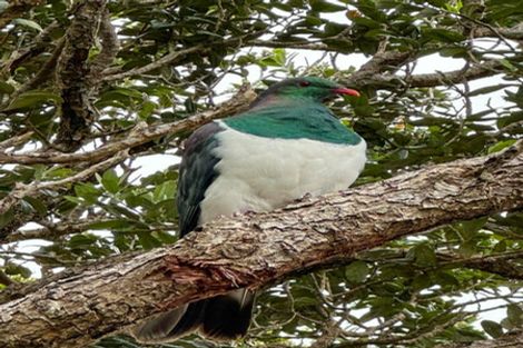 Photo of property in 70 Messines Road, Karori, Wellington, 6012