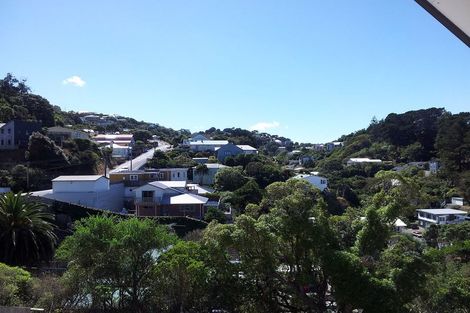 Photo of property in 39 Mccoll Street, Vogeltown, Wellington, 6021