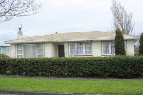 Photo of property in 41 Graham Street, Levin, 5510