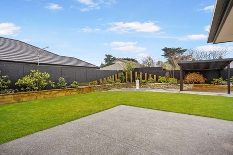 Photo of property in 29 Allison Crescent, Kaiapoi, 7630