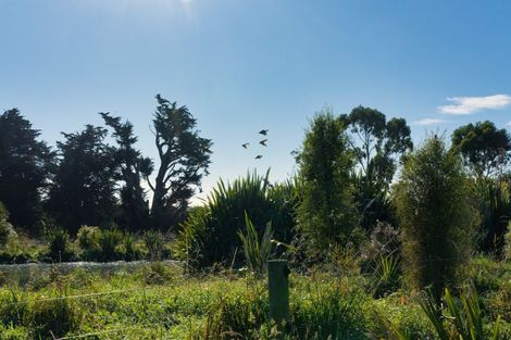 Photo of property in 386 Mount Fyffe Road, Kaikoura Flat, Kaikoura, 7371